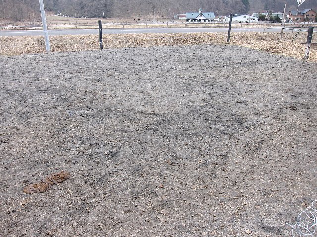 今年の3月きれい