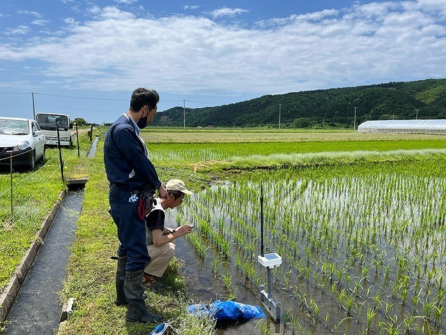 スマホにて、現在の水位を確認する小田会長（写真：奥）