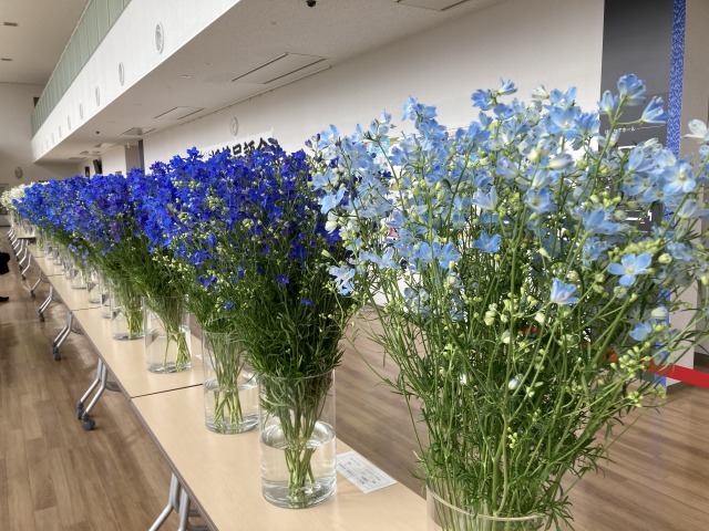 振興会会員の切り花79点が会場を彩ります