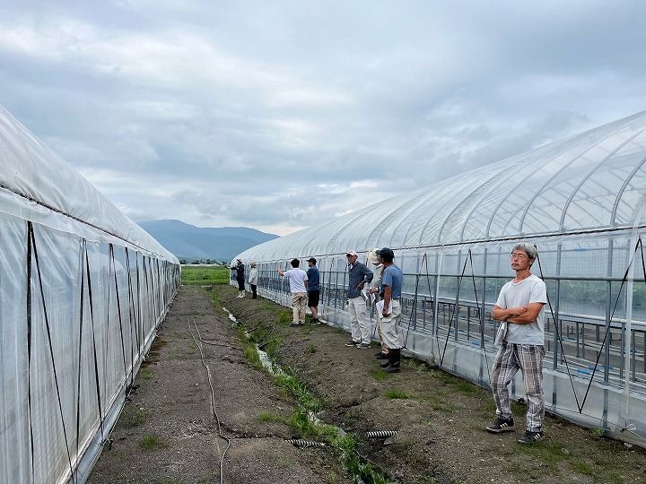 古橋氏ハウスにて普及センター実演