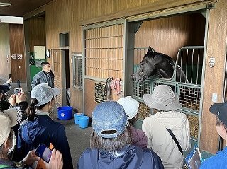実際の繋養状況を見学