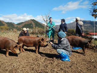 豚の管理を説明する西川雄喜さん（左から2人目）