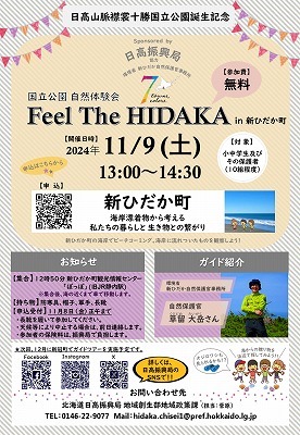 新ひだかチラシ