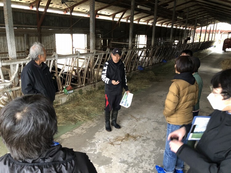 シミズデイリーファーム見学