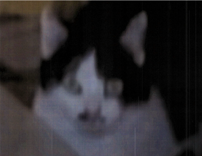 nannsi.png