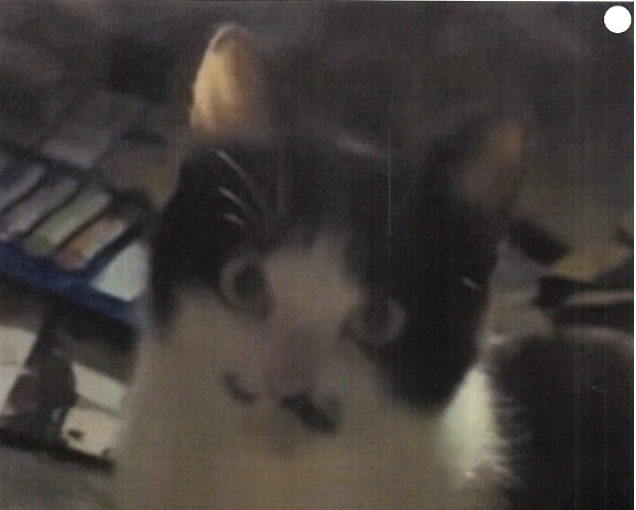 rina.png