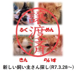neko05012.jpg