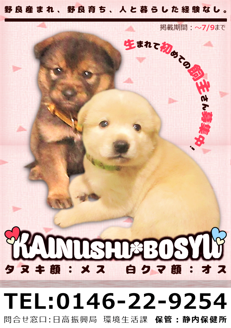R7犬3-4p2 (PNG 898KB)