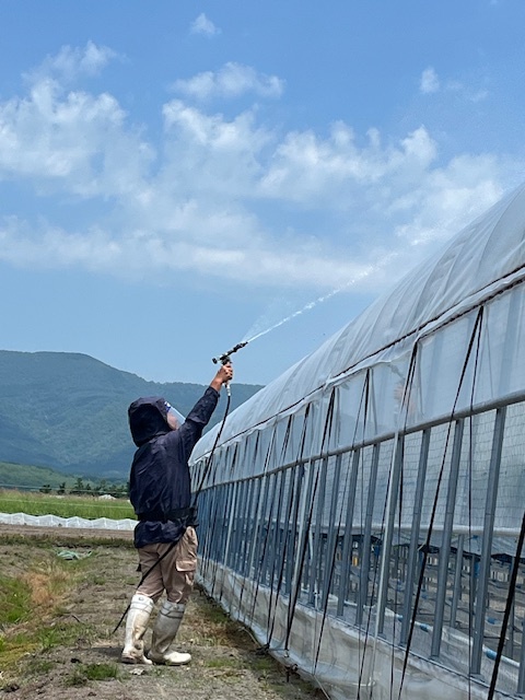 古橋氏によるハウス塗布