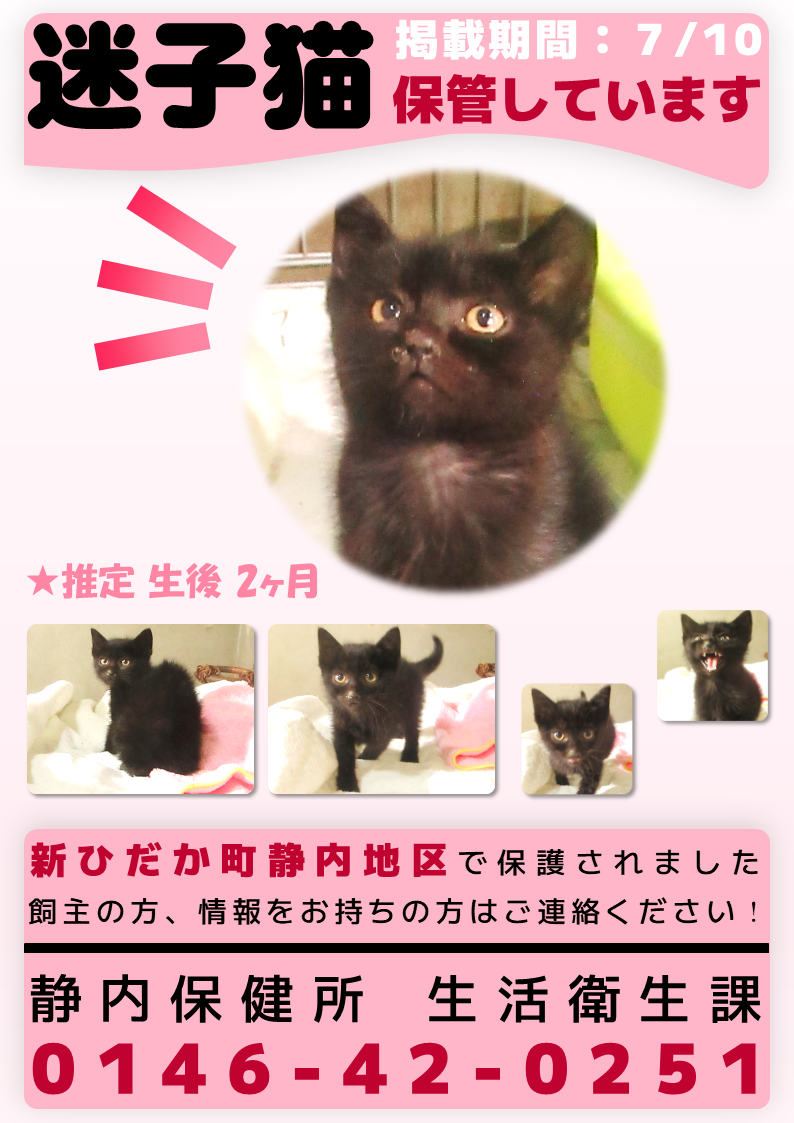 R7猫4P