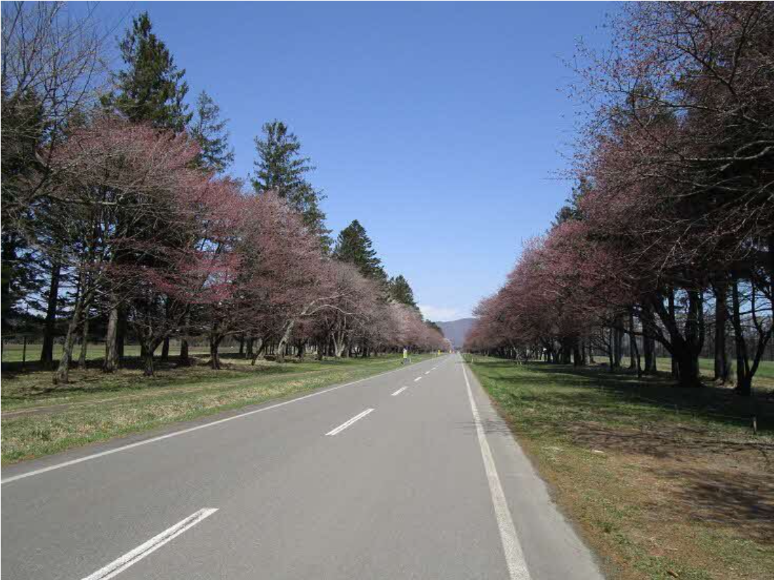 二十軒道路6 (PNG 1.24MB)