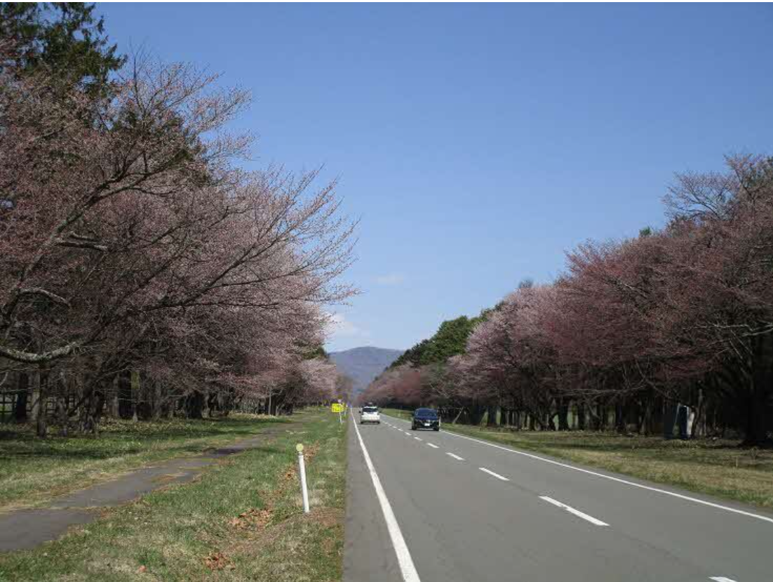 二十軒道路7 (PNG 1.08MB)