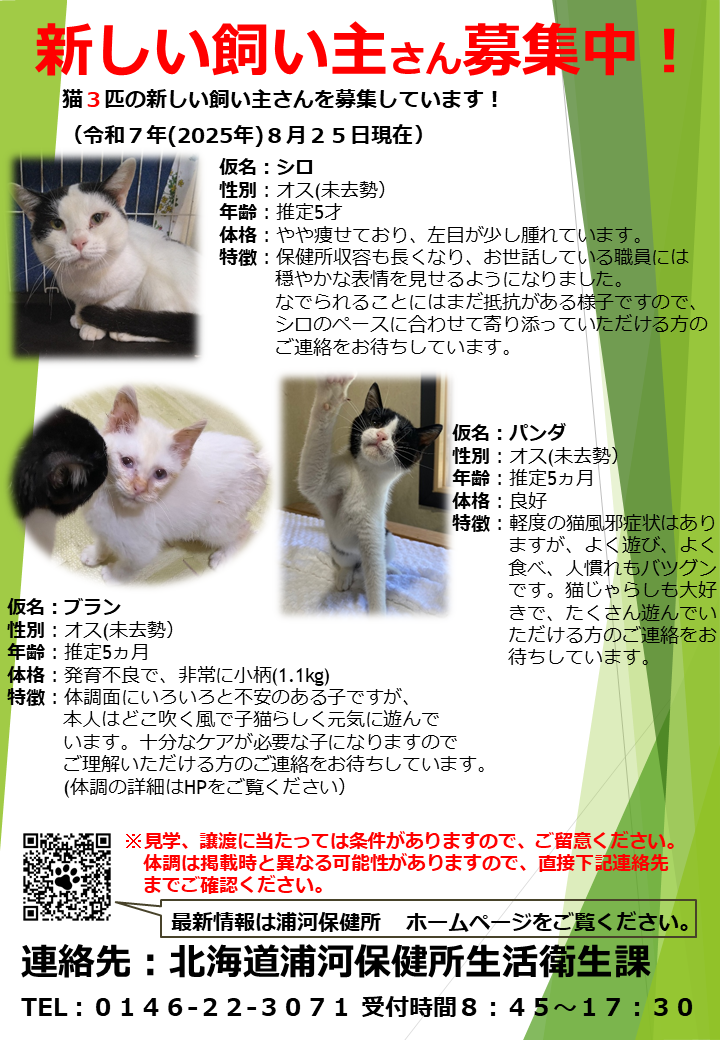 猫ポスター（ホームページ用）（シロブランパンダ）