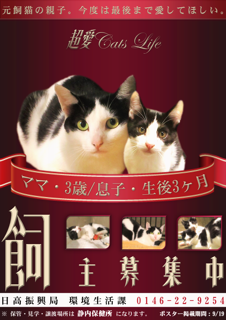 R7猫5仮