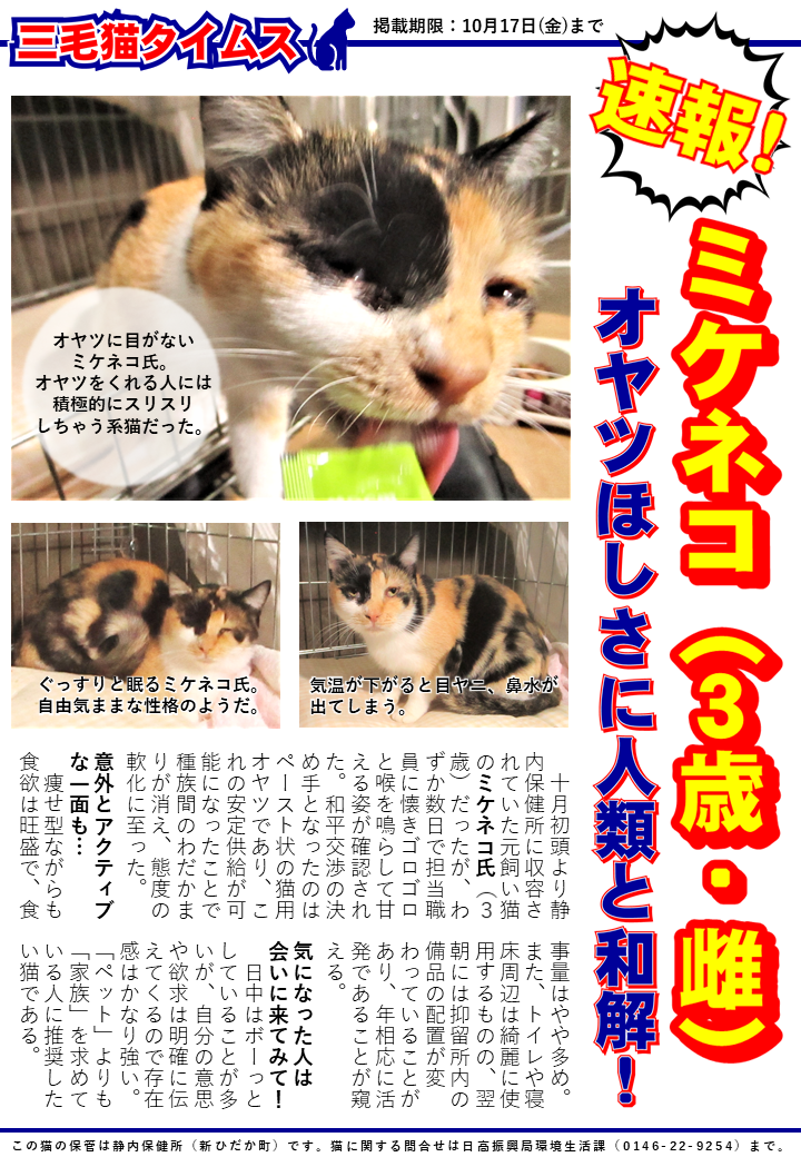 R7猫説明用