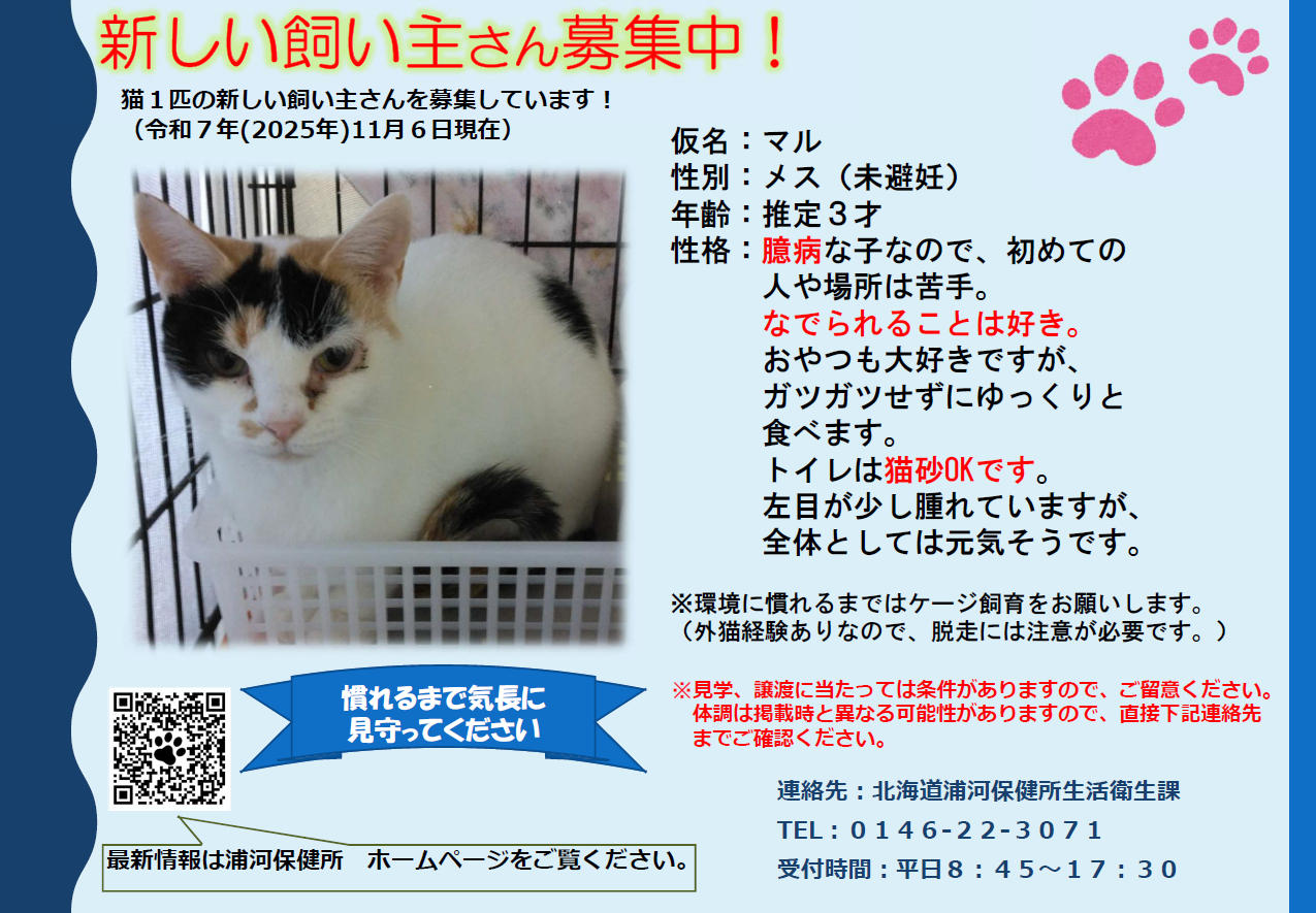 251106ポスター案(マル)