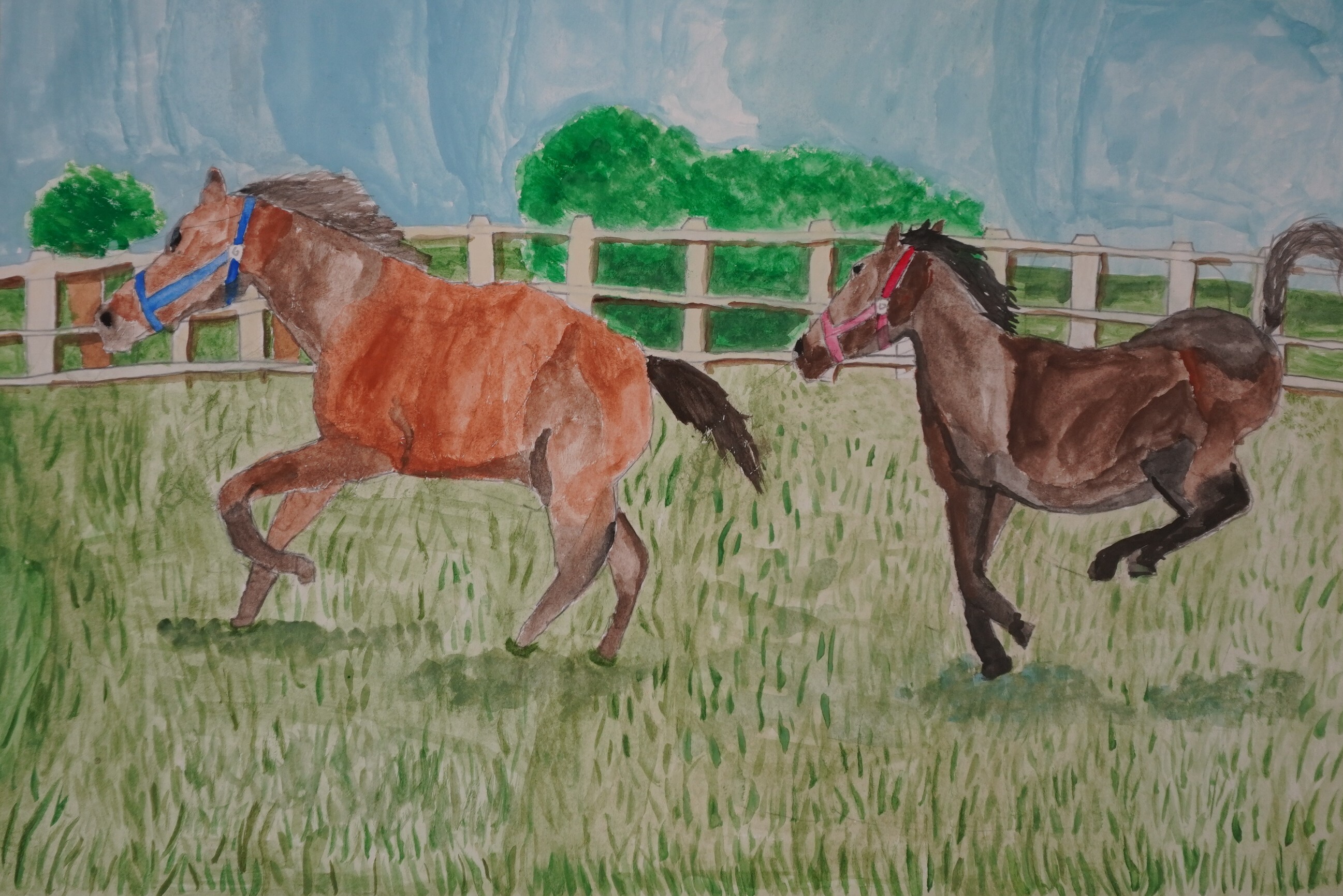 【入賞】_齋藤様(緑小)_牧場を走る馬.jpg