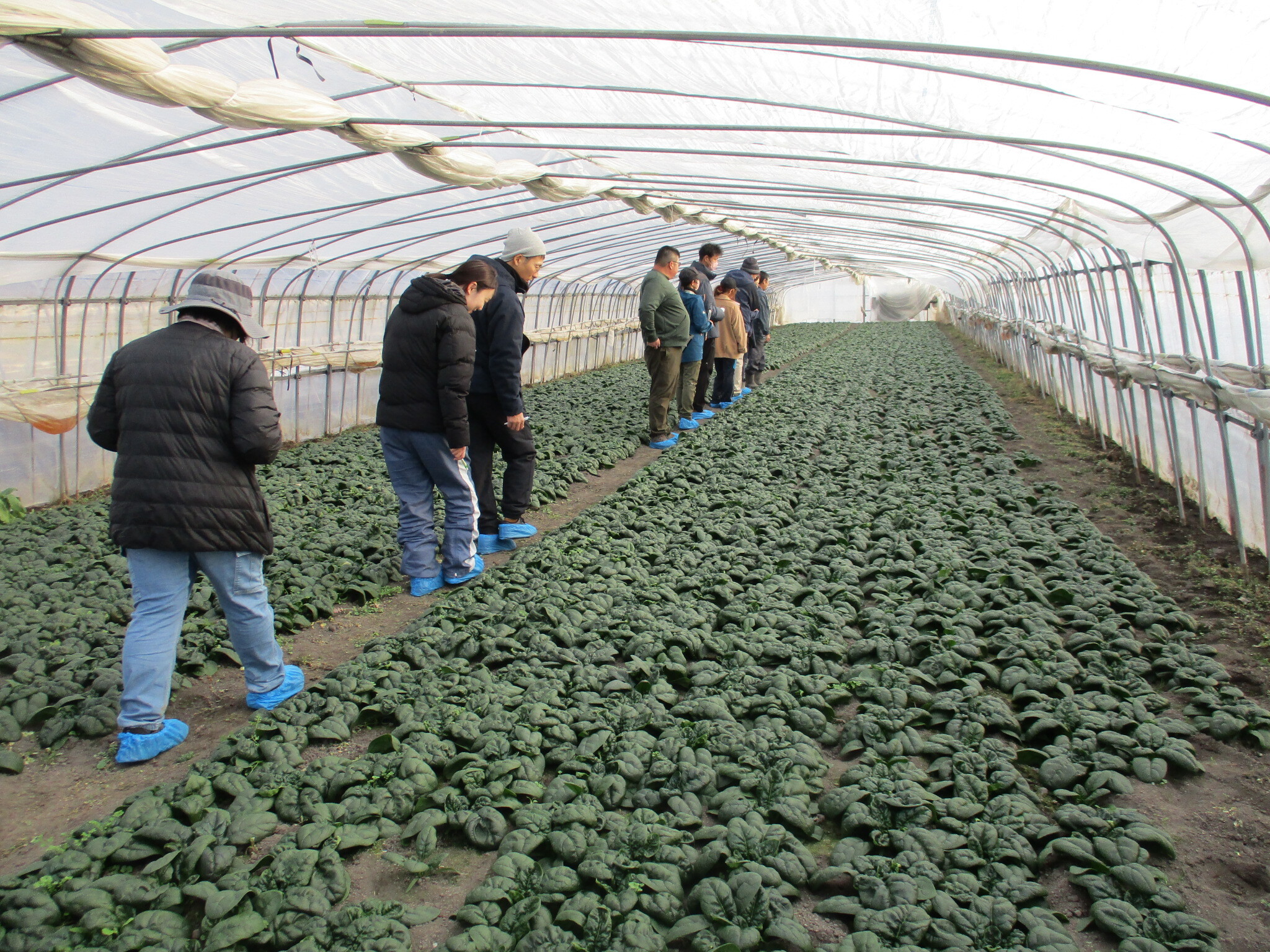 活発に質疑応答が行われた