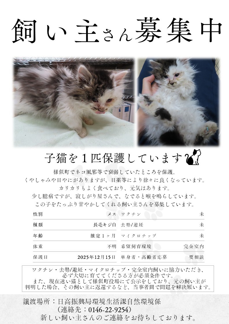 20251215 R7-09チラシ