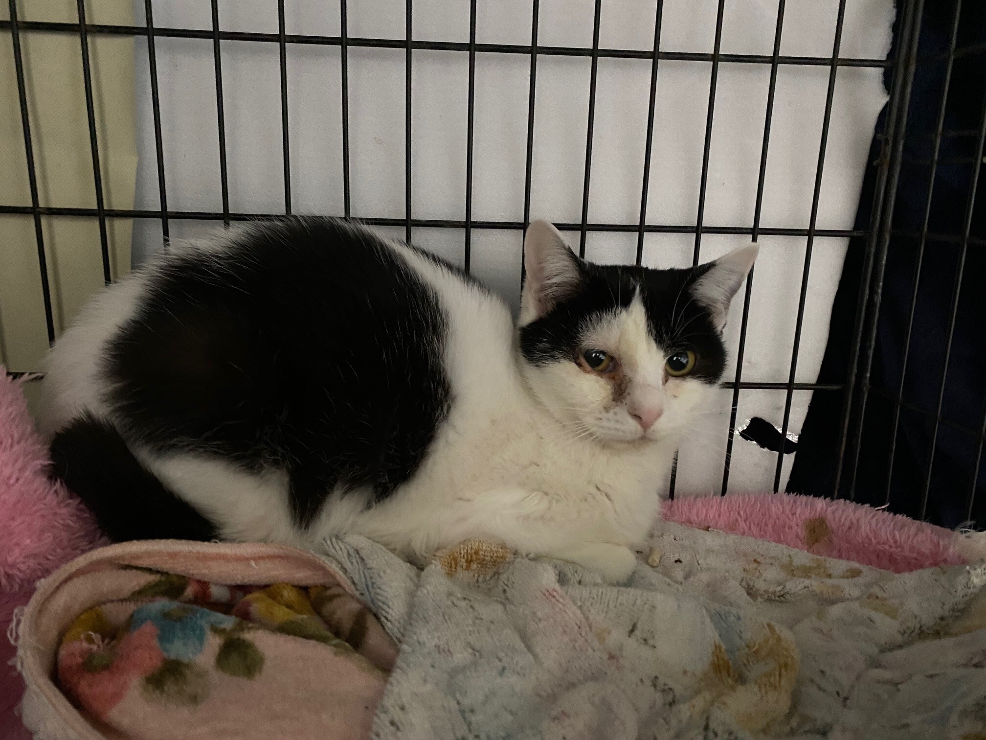 20260208 いい (JPG 612KB)