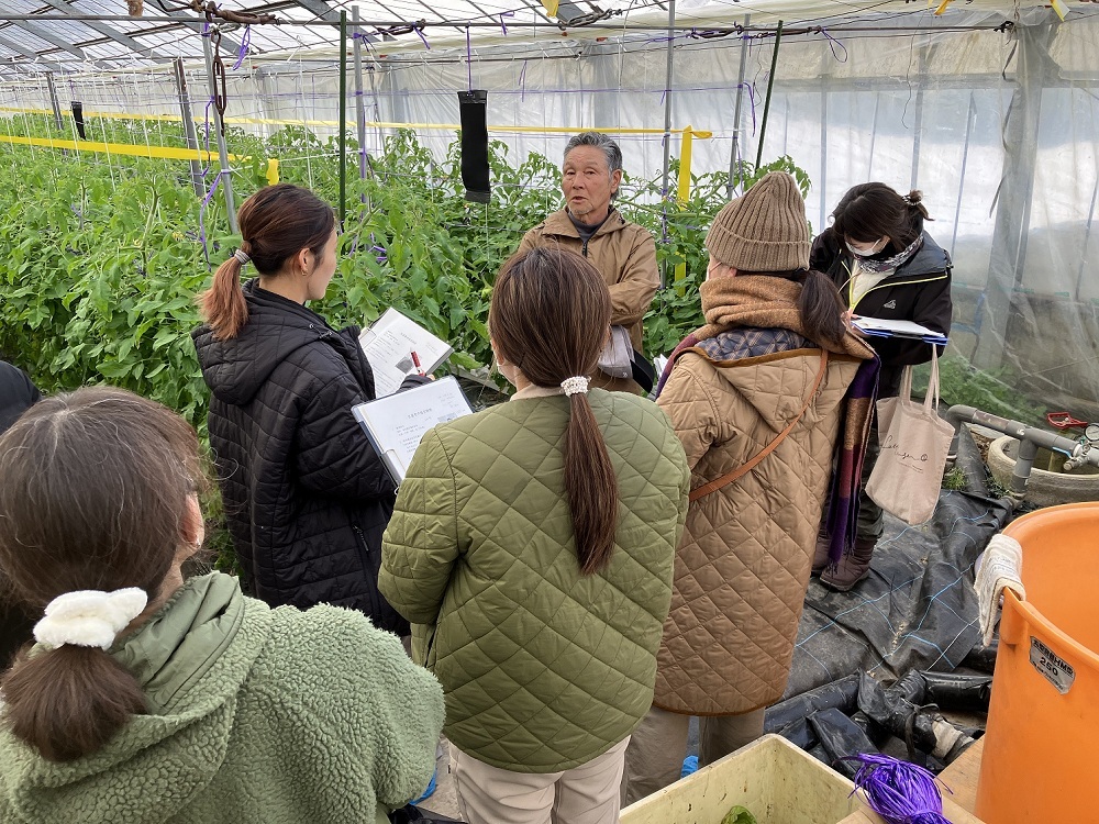 オロフレトマトの栽培方法について説明を受けた