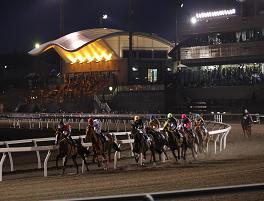 monbetsu_racetrack.JPG