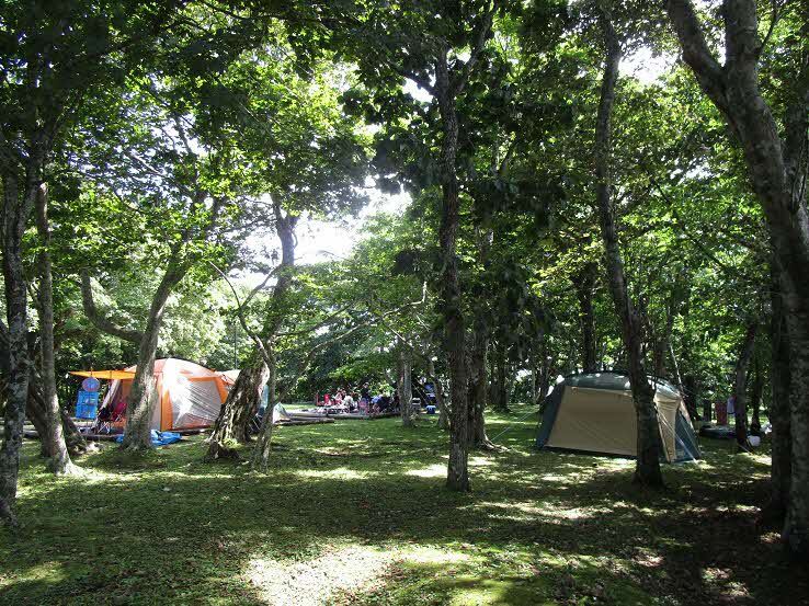 判官館森林公園キャンプ場