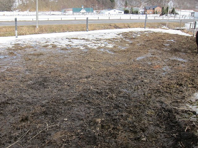 昨年3月泥濘状態