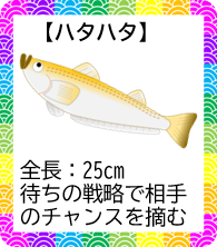 ハタハタ
