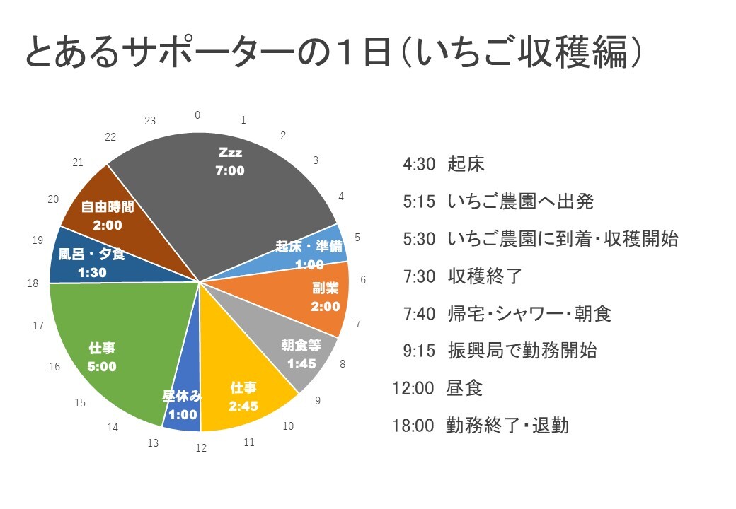 とあるサポーターの1日（いちご収穫編）①