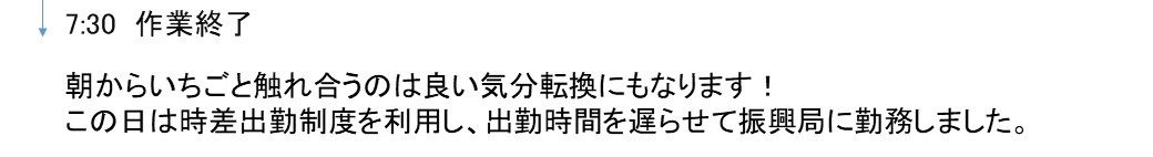 とあるサポーターの1日（いちご収穫編）④