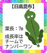 GK 日高昆布.png