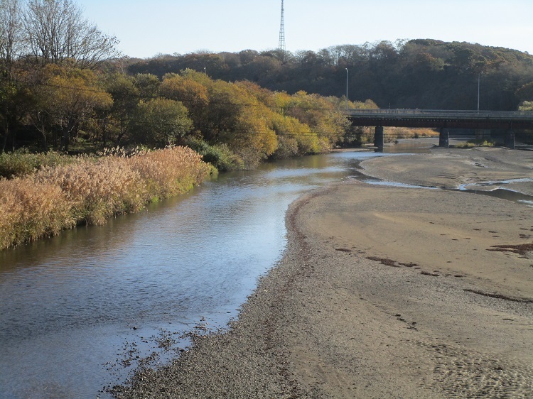 写真１０