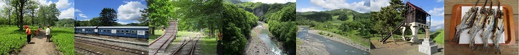 山女魚写真