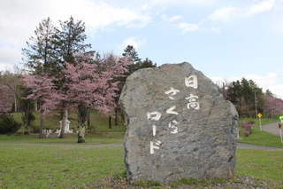 神楽岡公園