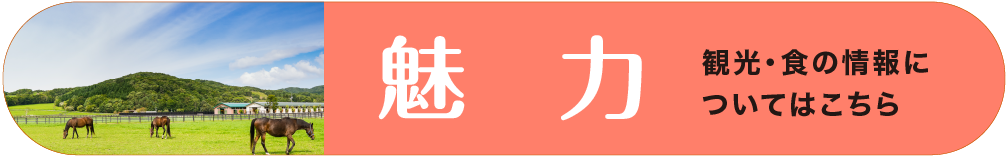 ひだかの魅力