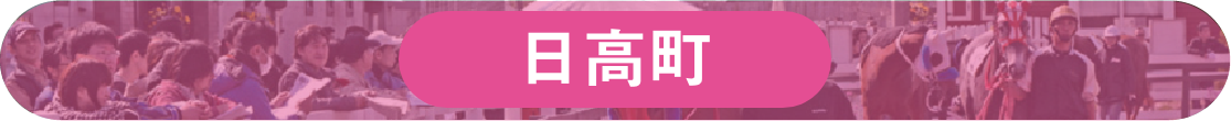 日高町ホームページへのリンク