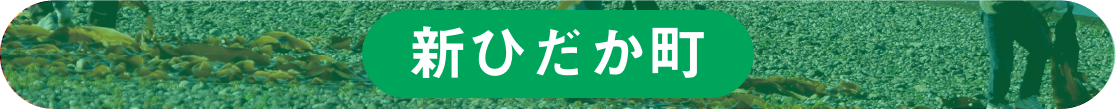 新ひだか町ホームページへのリンク