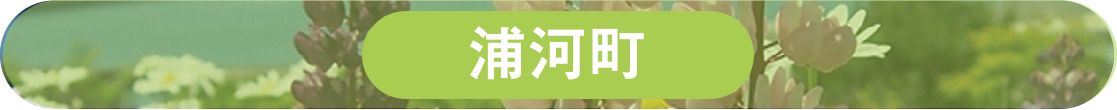 浦河町ホームページへのリンク