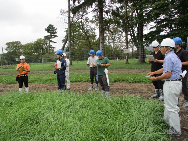 家畜改良センター新冠牧場