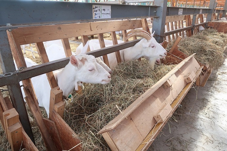 飼育施設の状況